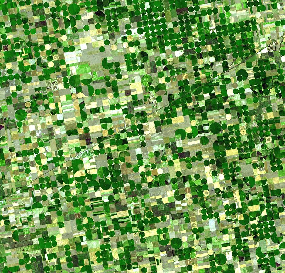 A satellite image of crop circles scattered around southern Kansas. Tools like the Agricultural Digital Twin will help farmers leverage NASA data to maximize crop yield and minimize loss due to extreme weather.