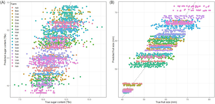 Fig. 7: The scatterplot of the predicted and observed sugar content and fruit size using machine learning models based on weather and fruit quality data.