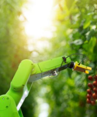 Improving Farm Outcomes Through Technology