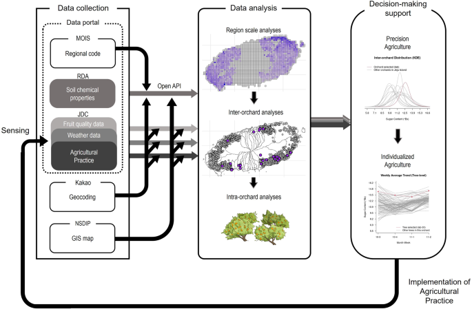 Fig. 1: The schematic diagram illustrates the process of data collection, analysis, and decision-making support via an agricultural digital twin.